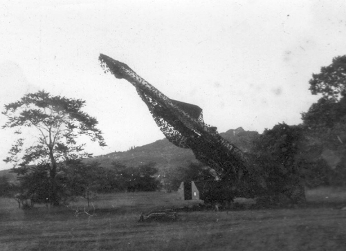 From 1965, the Hungarian SA-75M Divina batteries practiced relocating to a temporary firing position from more hundreds of kilometers from the peace-time site too.